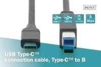 Digitus USB-kabel USB 3.2 Gen1 (USB 3.0 / USB 3.1 Gen1) USB-C stekker, USB-B stekker 1.80 m Zwart Afgeschermd (dubbel) AK-300149-018-S - thumbnail