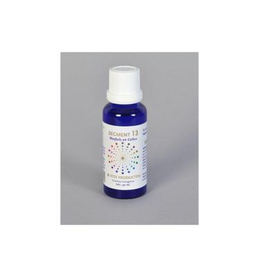 Vita Segment 13 weefsel en cellen 30 Milliliter