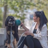 TRIXIE CITYSTYLE HONDENRIEM VERSTELBAAR PVC LICHTGRIJS 200X2 CM - thumbnail