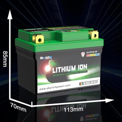 Skyrich lifepo4 batterij "hjtz7s-fp". battery hjtz7s-fp-swi lithium