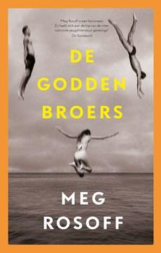De Godden broers - Meg Rosoff - ebook