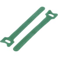 TRU COMPONENTS Klittenband kabelbinder Om te bundelen Haak- en lusdeel (l x b) 240 mm x 16 mm Groen 20 stuk(s) - thumbnail