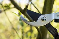 Meister Takkenschaar Bypass - WU9718100 - thumbnail