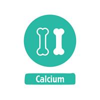 Nestle LITTLE STEPS 3 Dreumesmelk Standaard 12+ maanden 2 x 800 g bij Jumbo - thumbnail