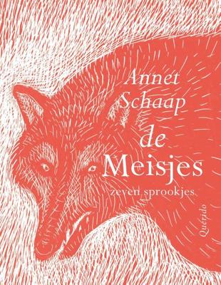 DE MEISJES - Annet Schaap - ebook