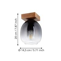 Eglo PlafondlampFilago Ø 14,5cm - 900825 - thumbnail