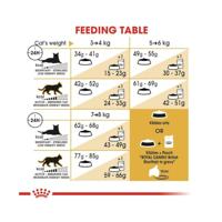 ROYAL CANIN British Shorthair FBN Adult - droog kattenvoer - 400g - thumbnail