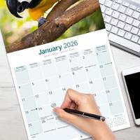 Ara Kalender 2026 - thumbnail