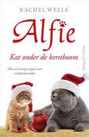 Kat onder de kerstboom - Rachel Wells - ebook - thumbnail