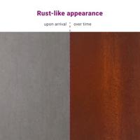 VidaXL Vuurkorf bruin 40 x 40 x 35 cm cortenstaal - thumbnail