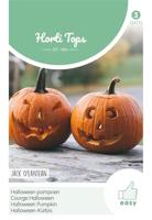 Zaden Pompoen Jack O'Lantern (Cucurbita Pepo) Hortitops - Hortitops - thumbnail