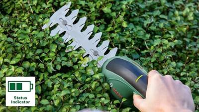 Bosch Groen EasyShear Accu Buxus- en grasscharenset | 3,6 V | In doos - 0600833303 - thumbnail
