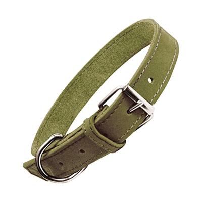 Hondenhalsband Gloria Oasis Groen (65 x 3 cm)