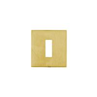 HDD Pro Sleutelplaatje Square 48 Mm Mat Messing Gepolijst - thumbnail