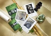 P14270/25 - thumbnail