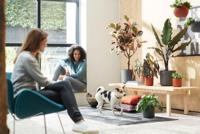 Bloempot B.for soft 16 cm antraciet elho - Elho - thumbnail