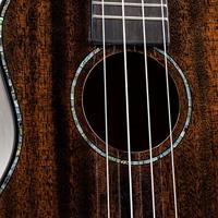 Voggenreiter Volt Siena Tenor all-solid mahogany ukelele met gigbag - thumbnail