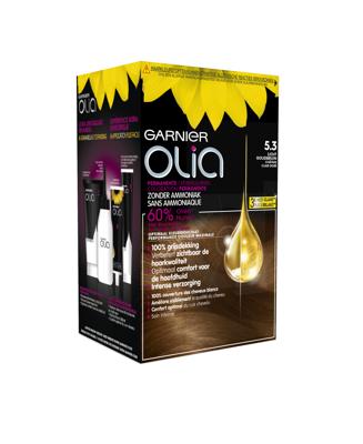 Garnier Olia 5.3 golden brown 1 Set