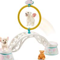 Schleich - Training voor gevleugelde leeuwenbaby's (42524) - thumbnail