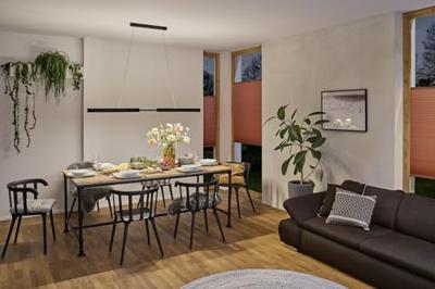 Paulmann Aptare 79888 LED-hanglamp LED 36 W Zwart Paulmann Aptare 79888 LED-hanglamp LED 36 W Zwart