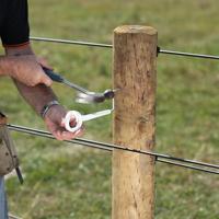 Gallagher Afstandisolator ring top 17,5 cm hout (5) - 751122 - thumbnail