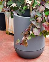 RIVIERA GRANIT TULIPE ronde bloembak - Kunststof - Diameter 50 cm - Grijs - thumbnail