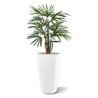 Raphis kunstpalm 75cm - thumbnail