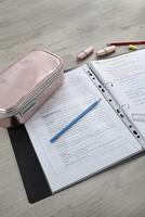 Eberhard Faber EF-577424 Etui Leeg Jumbo Rosé Goud - thumbnail