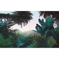 Komar Le Jardin Fotobehang Jungle Morning - LJX8-060 - thumbnail