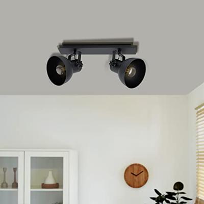 Eglo Landelijke plafondlampBarnstaple 1 2-lichts - 43432