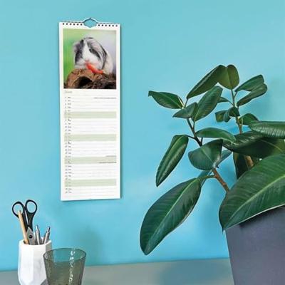 Cavia Kalender 2026 Slimline Cavia Kalender 2026 Slimline