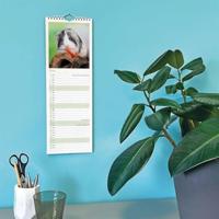 Cavia Kalender 2026 Slimline - thumbnail
