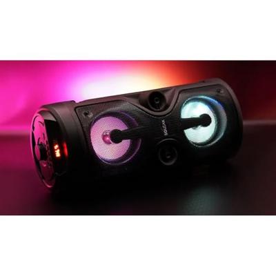 SQUEAK KARAOKE LUIDSPREKER HARMONY BT 5.0 SQ1004