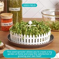 Peleg Design Seed Field - Peleg Design Zaadveld - thumbnail