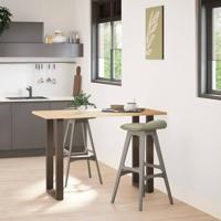 Bartafelpoten 2 st U-vormig 50x(90-91) cm staal naturel - thumbnail