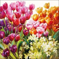 Ambiente servet 25cm tulips 20 stuks - thumbnail
