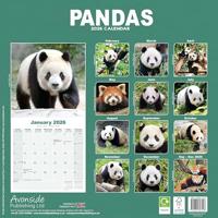 Panda Kalender 2026 - thumbnail