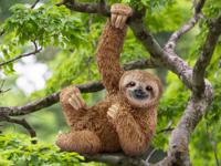Schleich luiaard 14793 - thumbnail