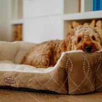 Nobby Comfort bed Ceno beige/bruin L x B x H: 65 x 57 x 22 cm - thumbnail