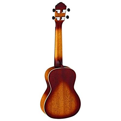 Ortega Earth Series RUDAWN concert ukelele sunburst
