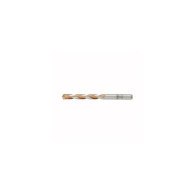 kwb 048700 Carbide , Wolfraamstaal Multifunctionele boor 1 stuks 10 mm Gezamenlijke lengte 120 mm Cilinderschacht 1 stuk(s)