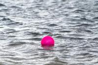 Dog Comets Exoplanet Pink S - thumbnail