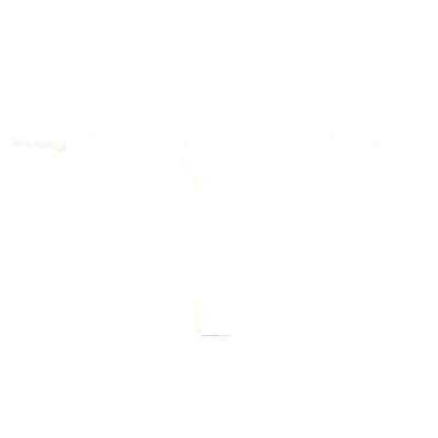 Dresselhaus slangverbinder plastic hose connectors t-connector d=5mm