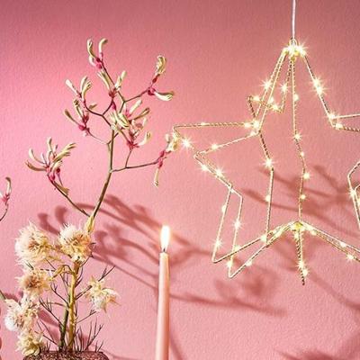 Ster Hangend 60 LEDs Warm Wit 32x30 cm Goud