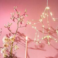 Ster Hangend 60 LEDs Warm Wit 32x30 cm Goud - thumbnail