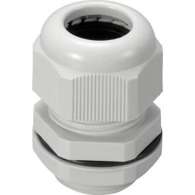 TRU COMPONENTS 1593314 Wartel M25 Polyamide Grijs-wit (RAL 7035) 1 stuk(s)