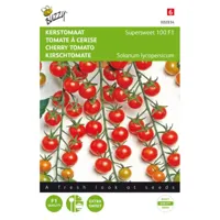 Kerstomaat super sweet - thumbnail