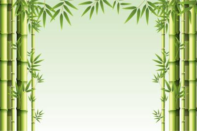 Fotobehang - Bos van Bamboe, Groen, Prachtige achtergrond, in 11 maten, incl behanglijm