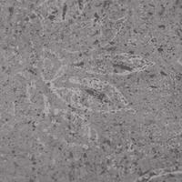 VidaXL Vloerplanken zelfklevend 4,46 m² 3 mm pvc cementbruin - thumbnail