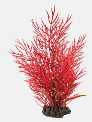 Sf art plant 25 cm ludwigia Superfish - Superfish